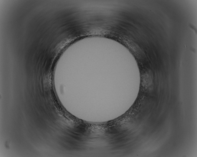X0000097510632200803201616