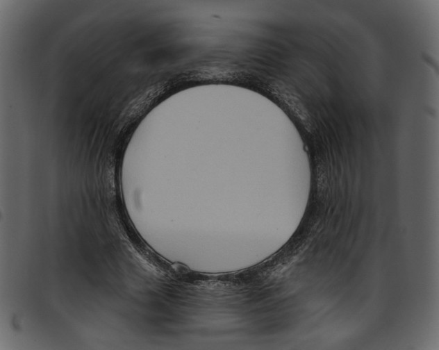 X0000097510633200803201616