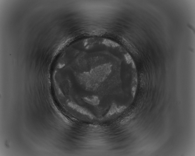 X0000097510634200803201616