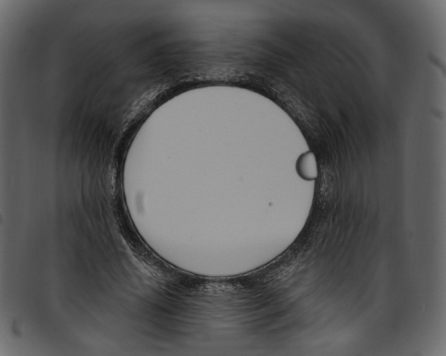 X0000097510636200803201616