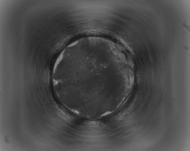 X0000097510637200803201616