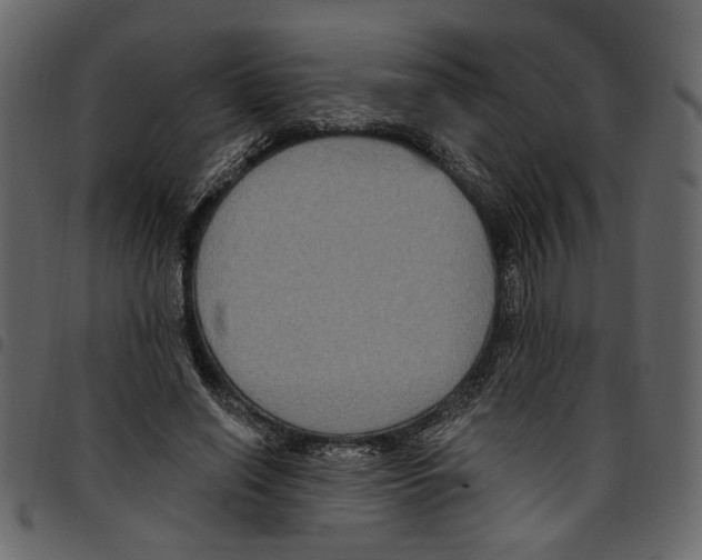 X0000097510638200803201616
