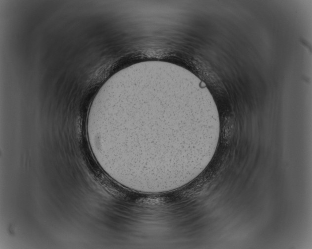 X0000097510639200803201616