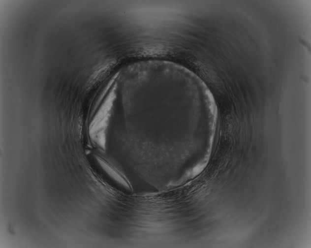 X0000097510640200803201616