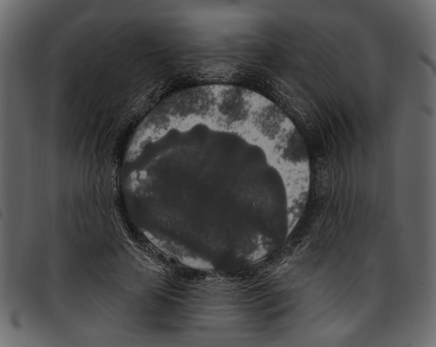 X0000097510641200803201616