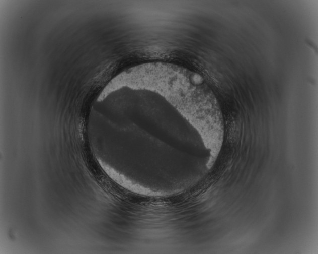 X0000097510643200803201616