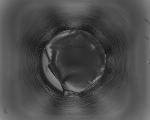X0000097510644200803201616