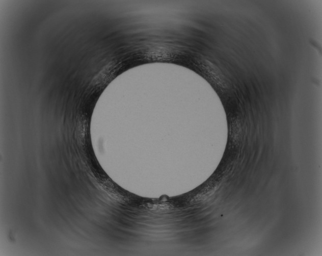 X0000097510645200803201616