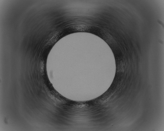 X0000097510646200803201616