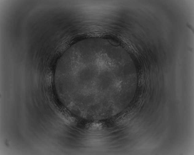 X0000097510647200803201616