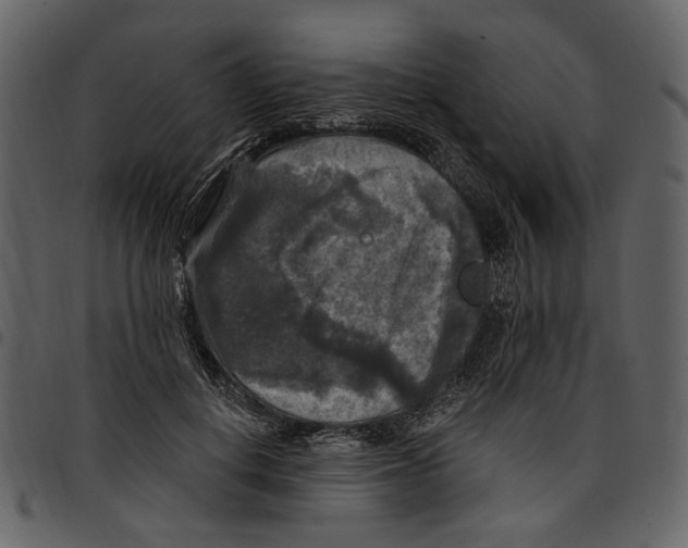 X0000097510648200803201616