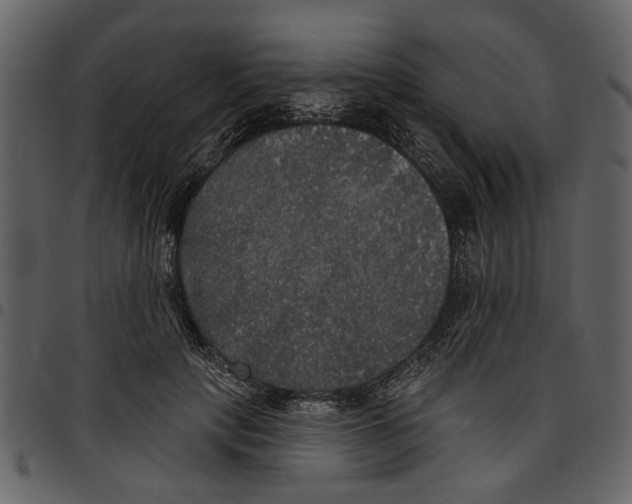 X0000097510649200803201616