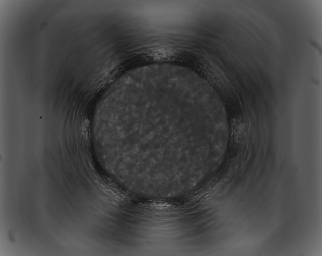 X0000097510650200803201616