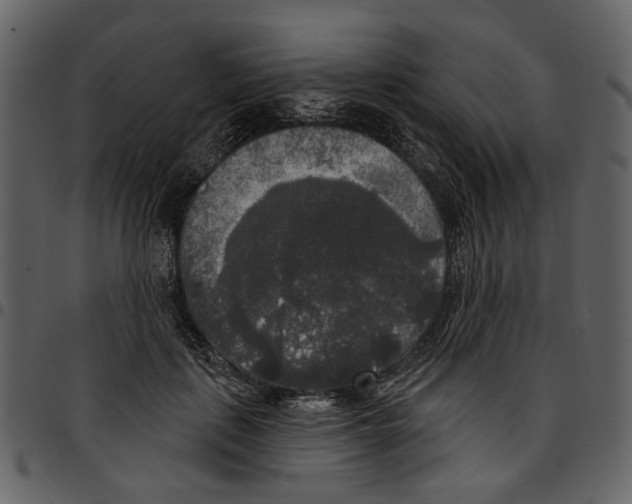 X0000097510651200803201616