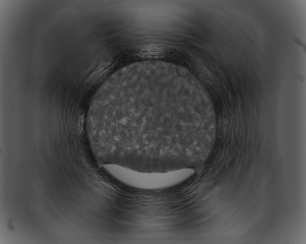 X0000097510652200803201616
