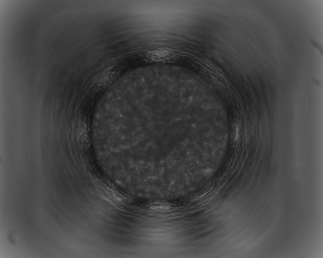 X0000097510653200803201616