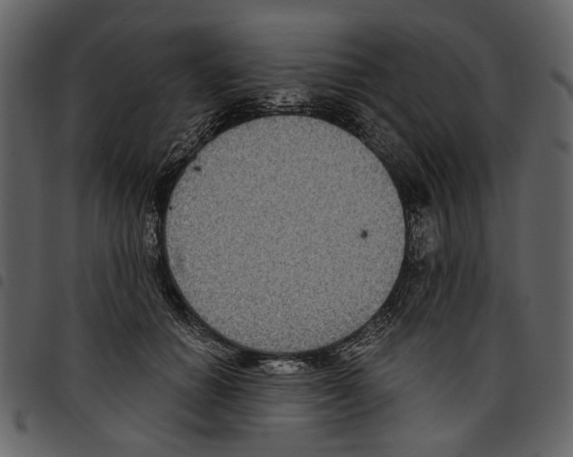 X0000097510654200803201616