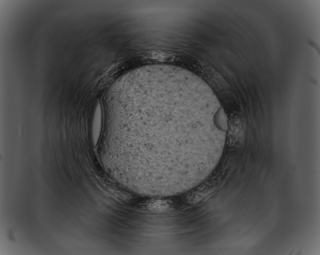 X0000097510656200803201616