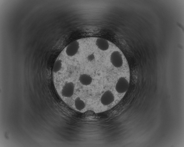 X0000097510657200803201616