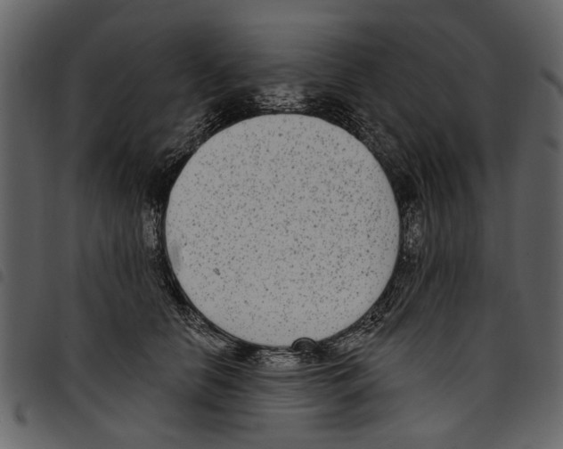 X0000097510658200803201616