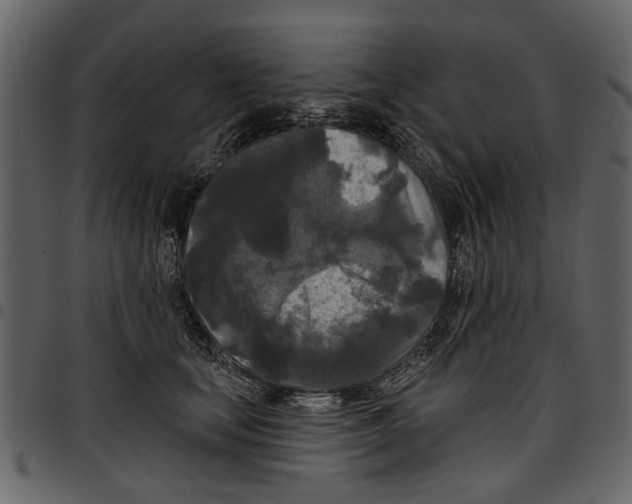 X0000097510659200803201616