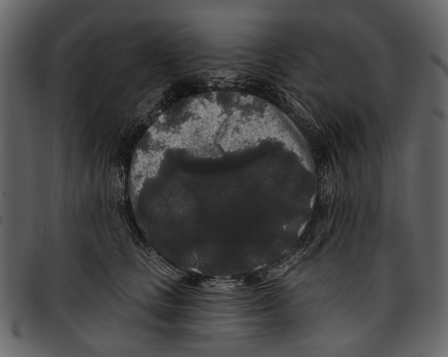 X0000097510661200803201616