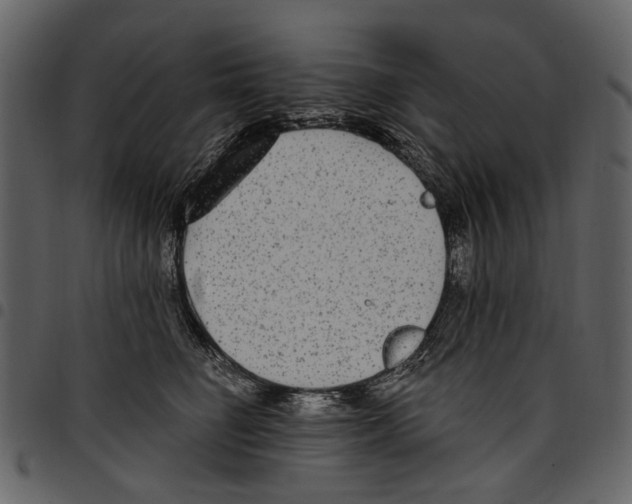 X0000097510662200803201616