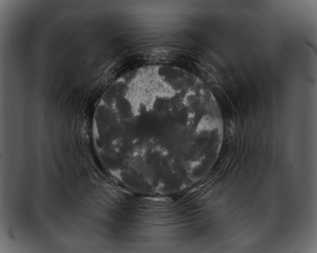 X0000097510663200803201616