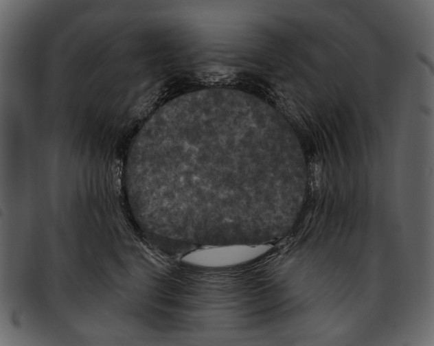 X0000097510664200803201616