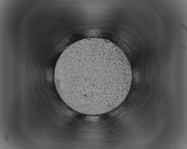 X0000097510665200803201616