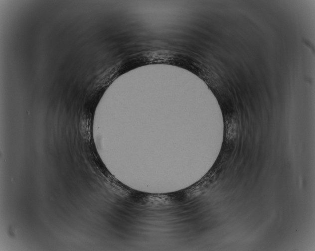 X0000097510666200803201616