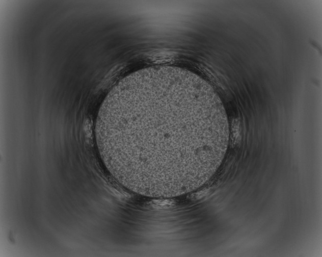 X0000097510667200803201616