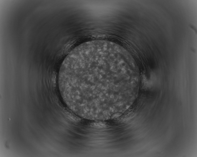 X0000097510668200803201616