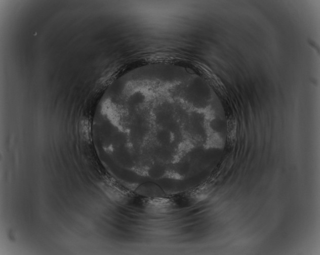 X0000097510669200803201616
