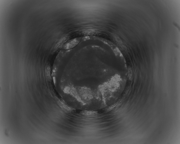 X0000097510670200803201616