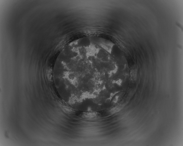 X0000097510671200803201616