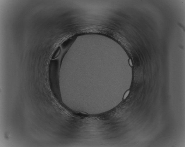 X0000097510673200803201616