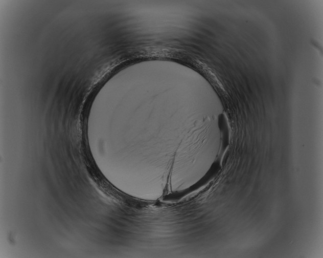 X0000097510674200803201616
