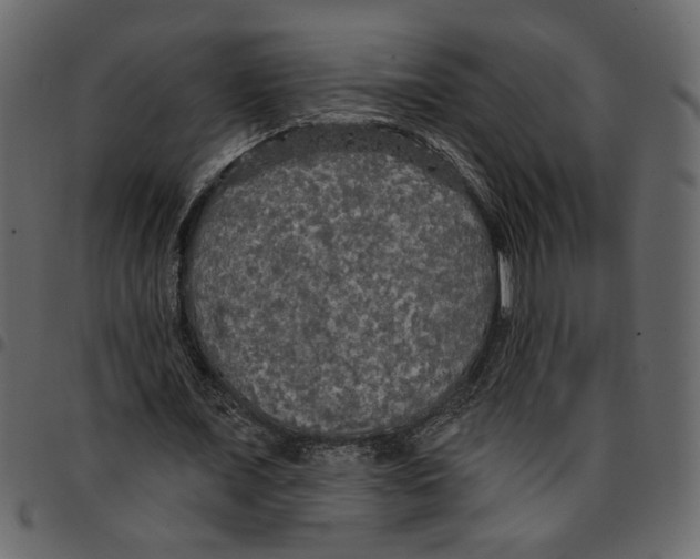 X0000097510675200803201616