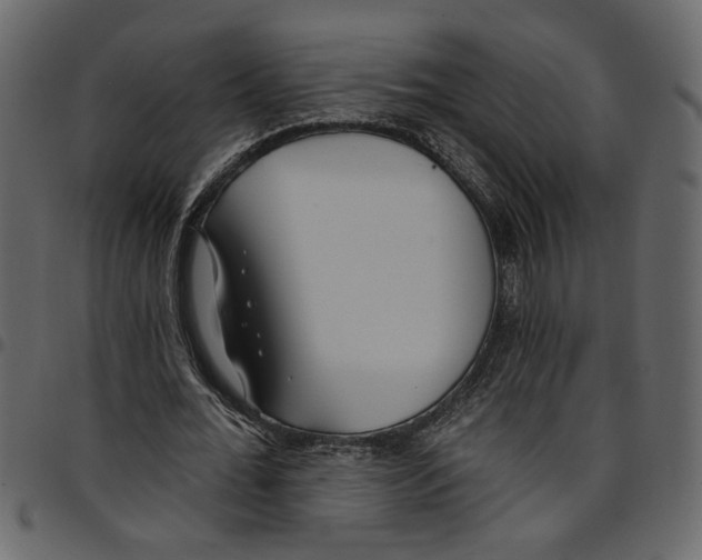 X0000097510676200803201616