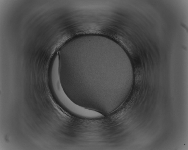 X0000097510677200803201616