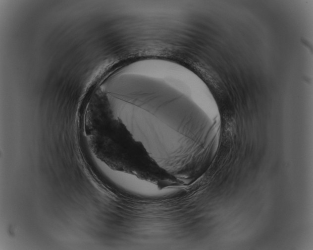 X0000097510678200803201616