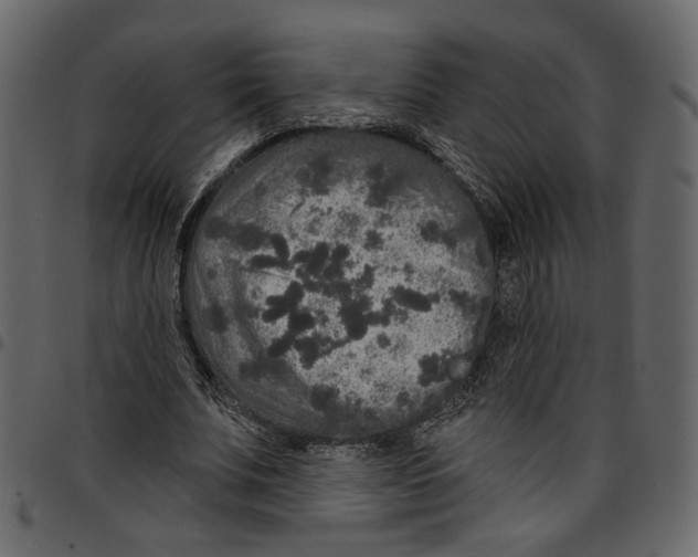 X0000097510679200803201616