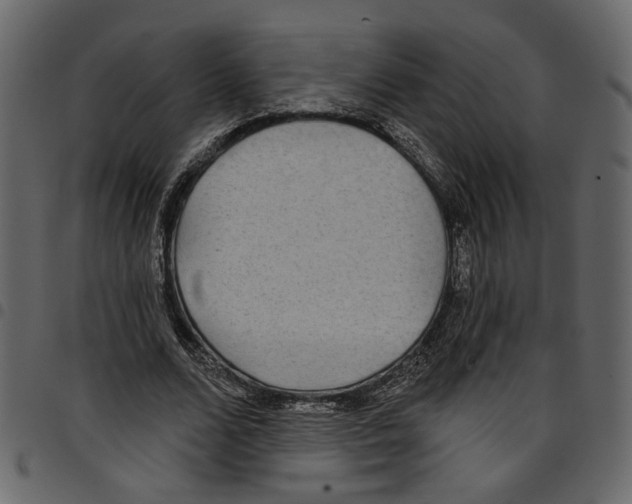 X0000097510680200803201616