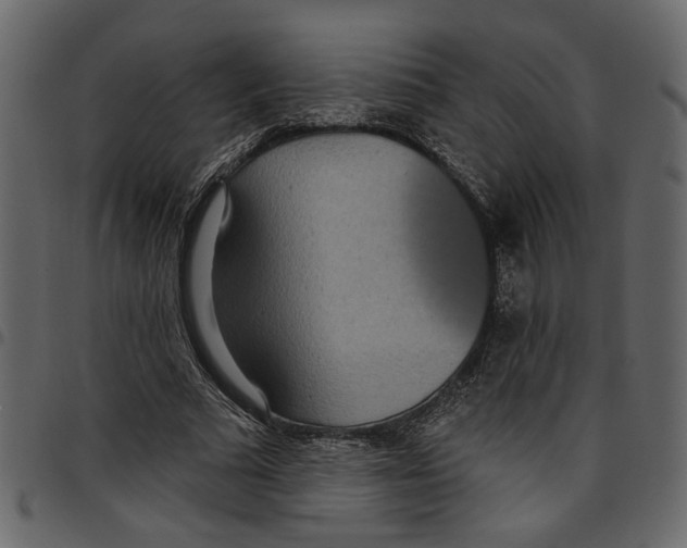X0000097510681200803201616