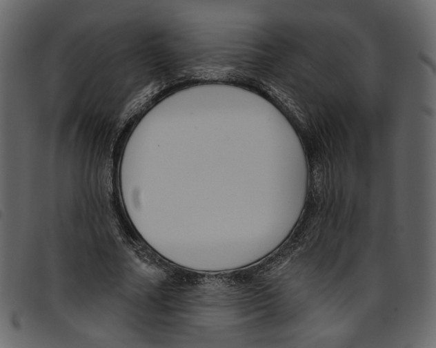 X0000097510682200803201616