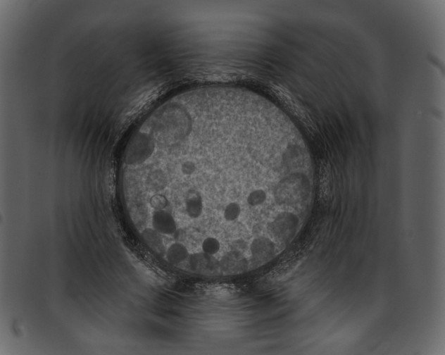 X0000097510683200803201616