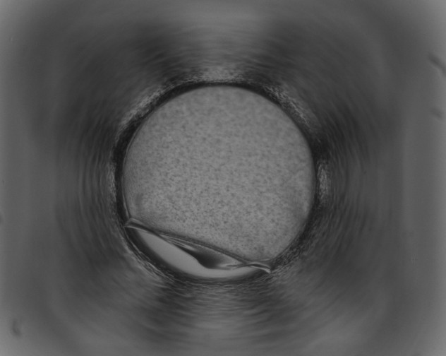 X0000097510684200803201616