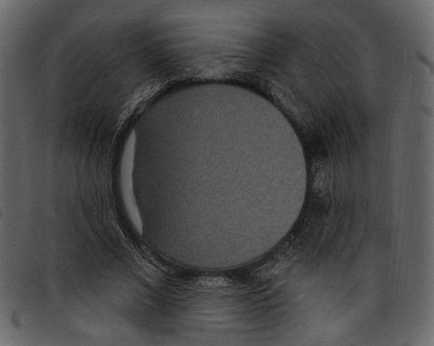 X0000097510685200803201616