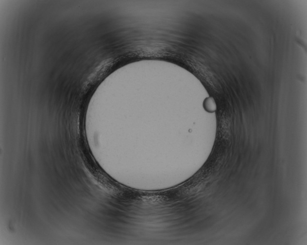 X0000097510686200803201616